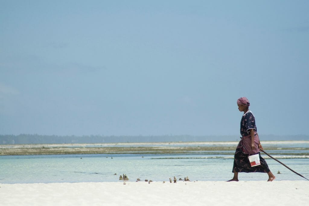 Lowtide